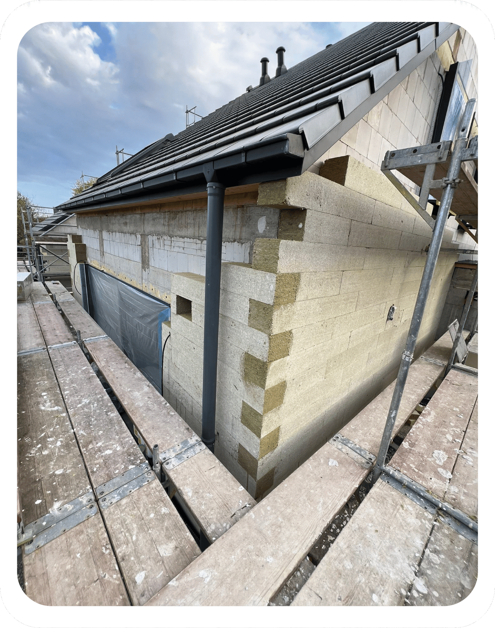 bex-bauprofis - fig small for home screen